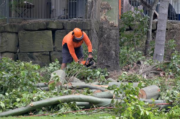 Tree Service Company in Shippensburg, PA